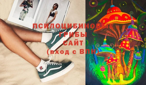 индика Алексеевка
