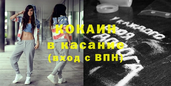 индика Алексеевка