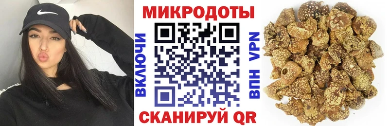 Галлюциногенные грибы мухоморы Камень-на-Оби